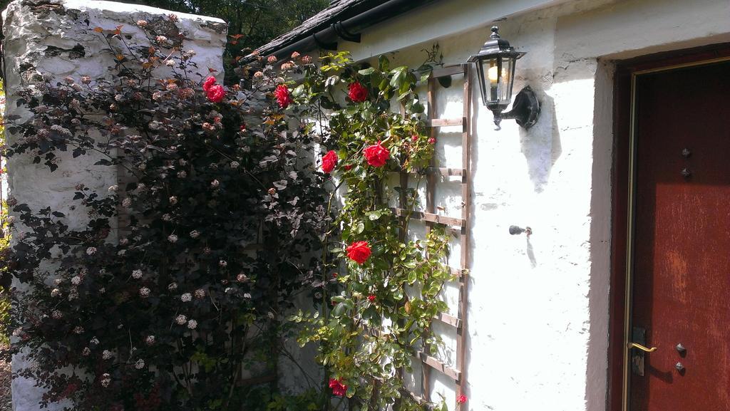 Whitestone Cottage Turnberry Quarto foto